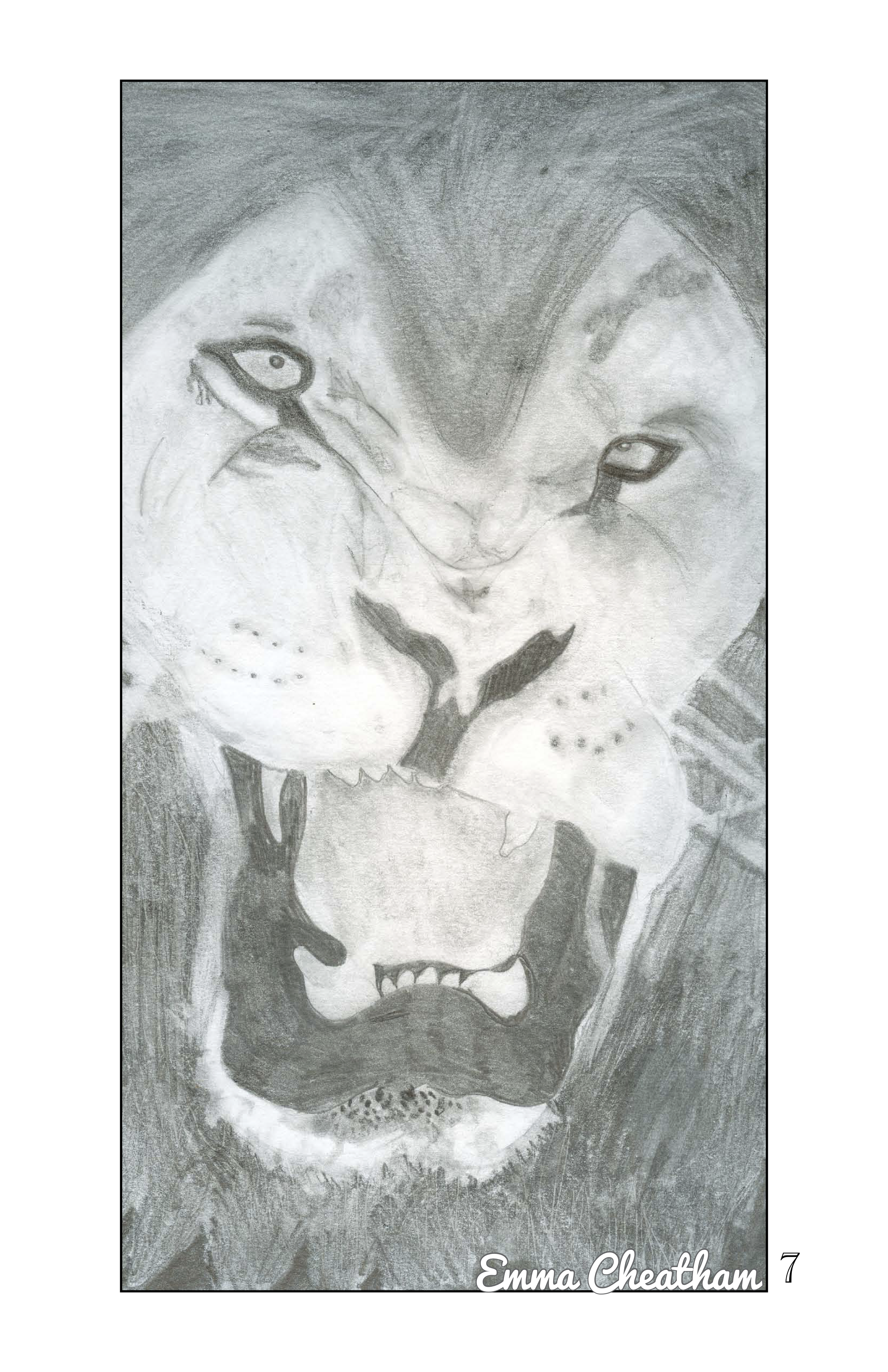 Student drawing of a roaring lion